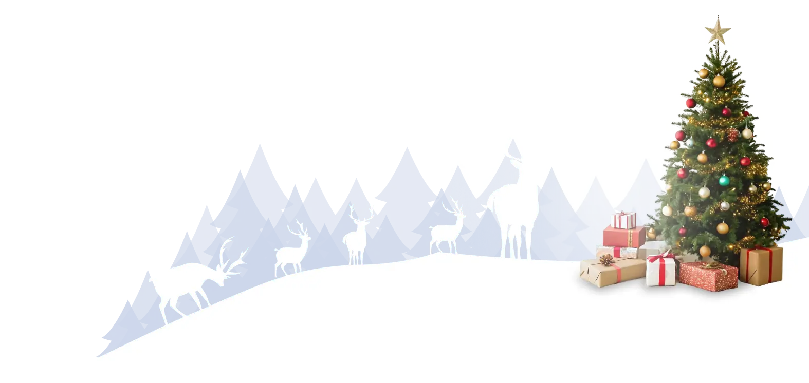 footer graphic bottom